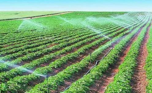 国产大力啪啪农田高 效节水灌溉